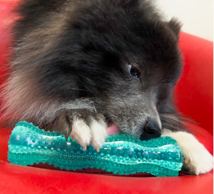 KONG Игрушка для собак Squeezz Dental Stick (M)