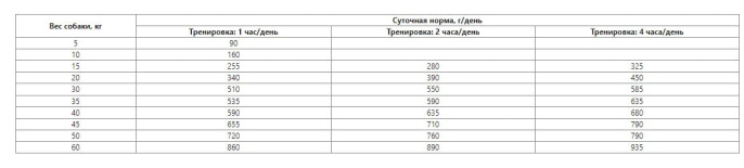 Сухой корм для собак LANDOR Adult Dog All Breed (ягненок, рис) (1 кг)
