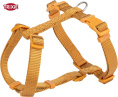 Шлея для собак TRIXIE Premium H-harness (карри) (XXS-XS 20-32 см/10 мм)