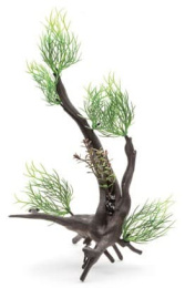 Растение на корне Aquael B3002 28x10x18 см