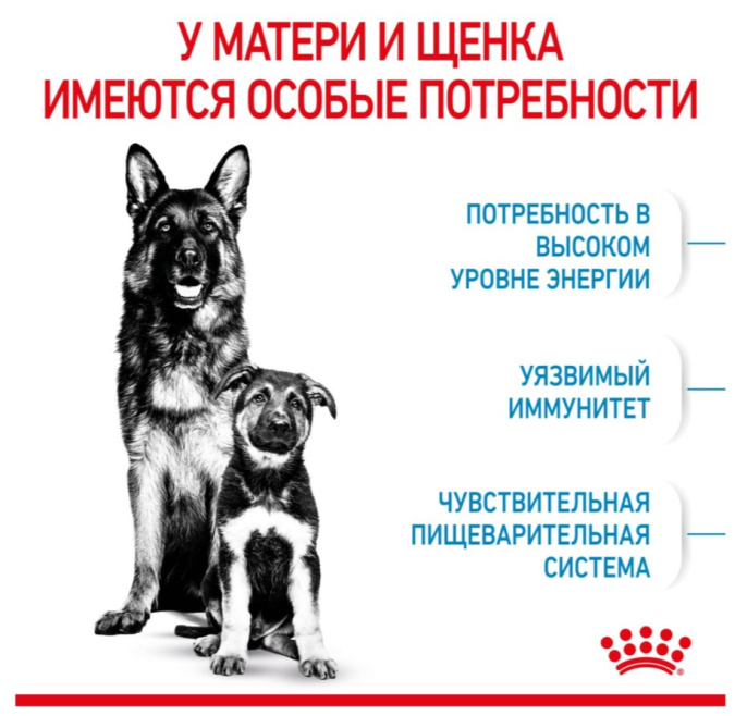 Сухой корм для щенков Royal Canin Maxi Starter (15 кг)