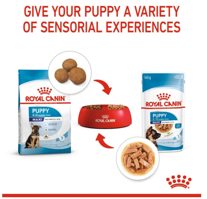 Влажный корм для щенков Royal Canin Maxi Puppy (соус) (140гр.*10 шт)