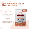 Сухой корм для собак Monge Dog Monoprotein Adult Mini (лосось, рис) (2,5 кг)