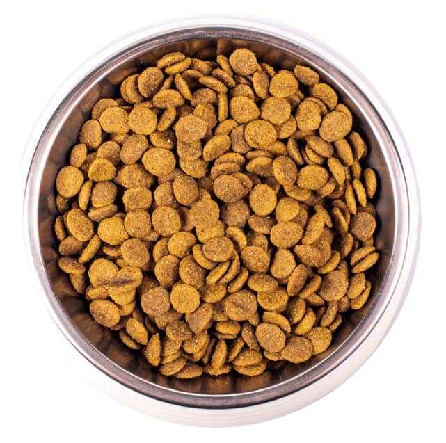 Сухой корм для кошек Monge Cat Adult (курица) (10 кг)