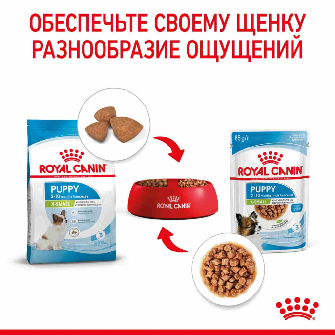 Влажный корм для щенков мелких пород Royal Canin X-Small Puppy (соус) (85 гр*12 шт)