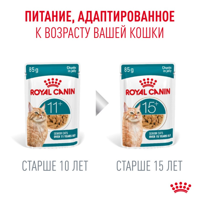 Влажный корм для пожилых кошек Royal Canin Ageing 11+ (кусочки в желе) (85гр.х12 шт)