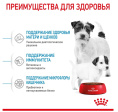 Сухой корм для щенков Royal Canin Mini Starter (3 кг)