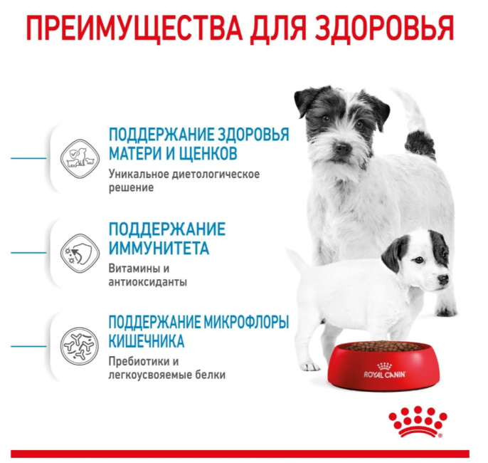 Сухой корм для щенков Royal Canin Mini Starter (3 кг)
