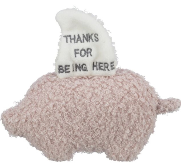 TRIXIE Игрушка для для щенков Junior Свинья, 15 см