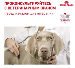 Консервы для собак Royal Canin Recovery