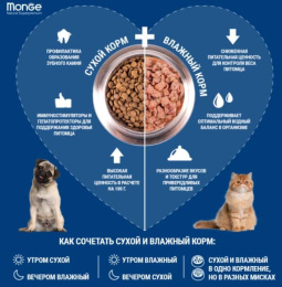 Влажный корм для кошек Monge Cat Grill Sterilised (телятина)