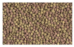 Корм для донных рыб Tetra Tablets TabiMin