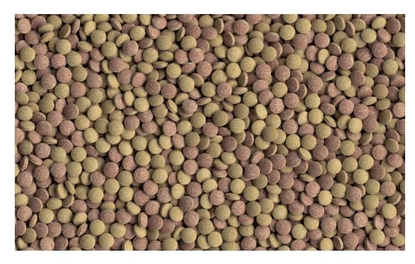 Корм для донных рыб Tetra Tablets TabiMin (2050 таб (620 гр))