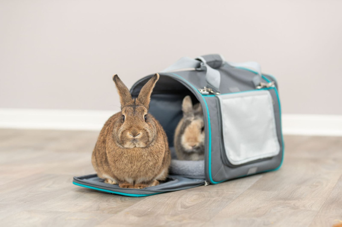 Сумка-переноска TRIXIE "Kennel & Carrier Vicky" (40х27х28 см)