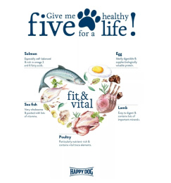 Сухой корм для собак HAPPY DOG Supreme Senior