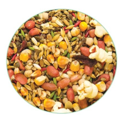 Корм для крупных попугаев Triol Original 