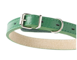 Ошейник для собак Mr.Kranch из натуральной кожи прямой зеленый
