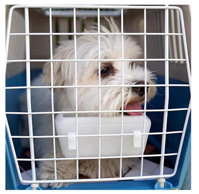 Ferplast Переноска ATLAS Open