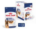 Влажный корм для собак Royal Canin Maxi Ageing (соус) (140гр.*10 шт)
