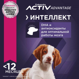 Сухой корм для щенков Eukanuba Puppy Medium Breed (птица)