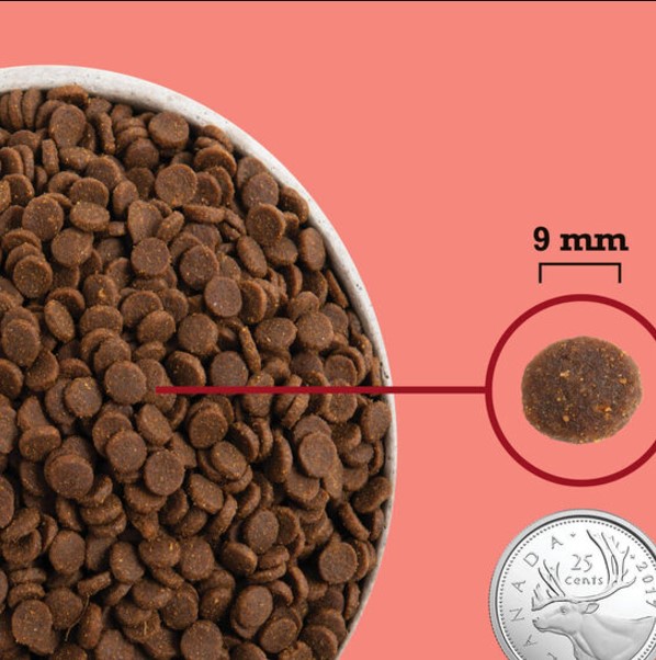 Сухой корм для кошек ACANA CAT Indoor (4,5 кг)