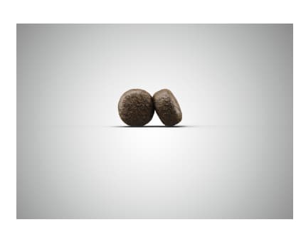 Сухой корм для собак Josera Sensi Junior (12,5 кг)