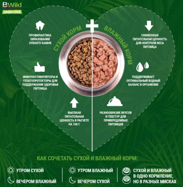 Консервы для собак Monge BWild GF Dog Adult Mini (утка) (400 гр.)