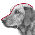 Намордник пластиковый TRIXIE (XS (15 см))