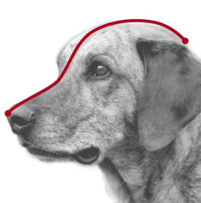 Намордник пластиковый TRIXIE (XS (15 см))