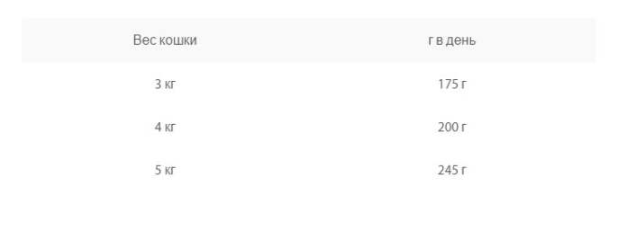 Консервы для кошек Animonda CARNY Adult (индейка, кролик) (400 гр.)