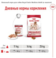 Влажный корм для собак Royal Canin Medium Adult (в паштете) (410 гр.)