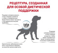 Сухой корм для собак Royal Canin Anallergenic Dog (3 кг)