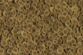 Корм для тропических рыб Tetra PRO Algae Multi-Crisps (12 гр.)