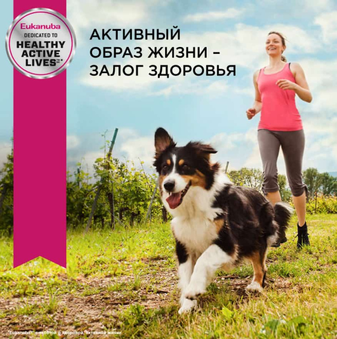 Сухой корм для щенков Eukanuba Puppy Small Breed (птица) (0.8 кг)