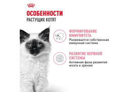 Влажный корм для котят Royal Canin Kitten Instinctive (в соусе)