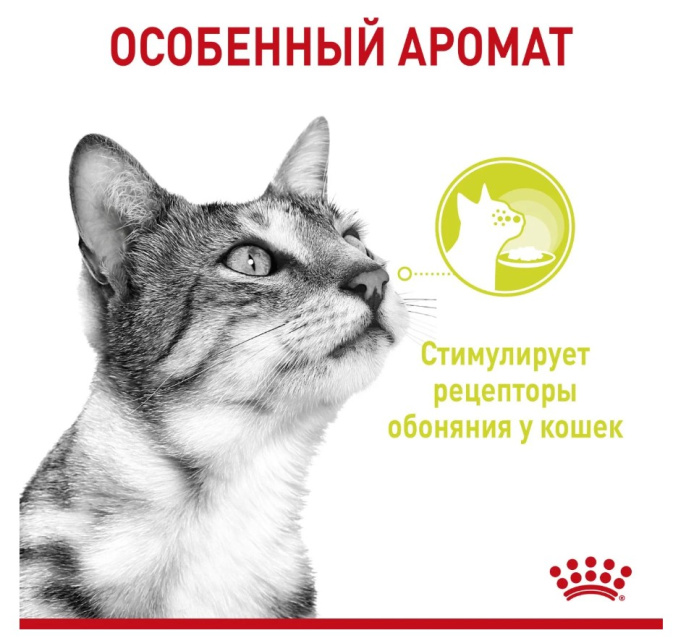 Влажный корм для кошек Royal Canin Sensory Smell (желе) (85 гр*12 шт)