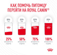 Влажный корм для кошек Royal Canin Hair & Skin Care (в соусе) (85 гр*28 шт)