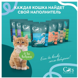 Снимок экрана 2026-03-03 211411