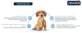 Сухой корм для собак Advance Dog Mini Light (курица) (1,5 кг)