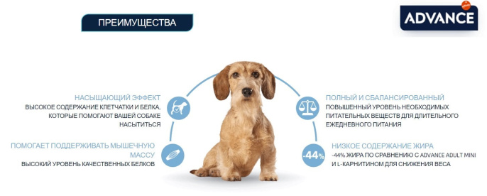 Сухой корм для собак Advance Dog Mini Light (курица) (1,5 кг)