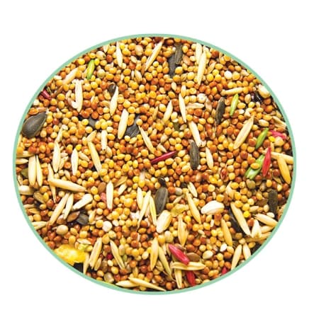 Корм для канареек Triol Original  (450 гр)