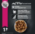 Сухой корм для собак Eukanuba Adult Medium Breed (птица) (3 кг)