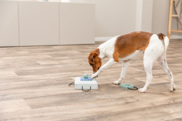 Интерактивная игрушка для собак TRIXIE Gamble Box