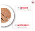 Влажный корм для собак Royal Canin Mini Ageing (паштет) (195 гр.)