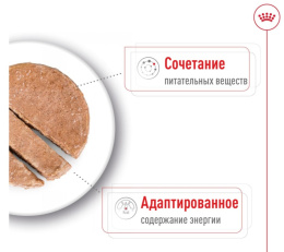 Влажный корм для собак Royal Canin Mini Ageing (паштет)