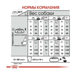 Сухой корм для собак Royal Canin Mini Coat Care