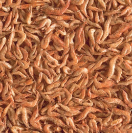 Tetra ReptoDelica Shrimps-1