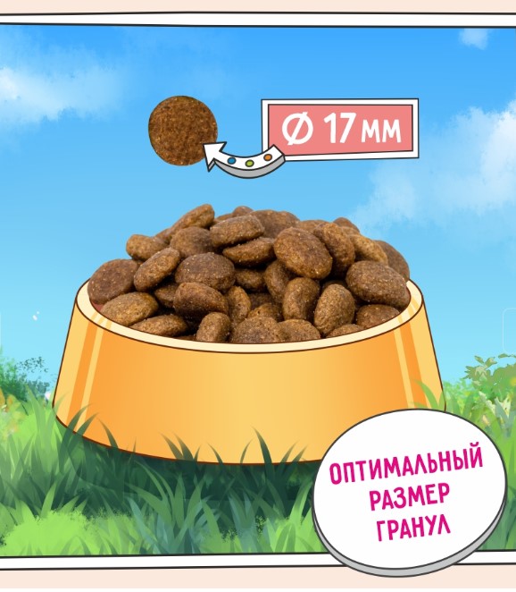 Сухой корм для собак ZILLII Adult Dog (белая рыба, лосось) (800 гр)