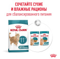 Сухой корм для пожилых кошек Royal Canin Ageing 11+ (0,4 кг)