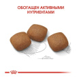 Сухой корм для собак Royal Canin Maxi Joint (10 кг)
